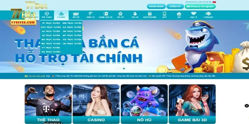 Giới thiệu tổng quan về nhà cái 77bet